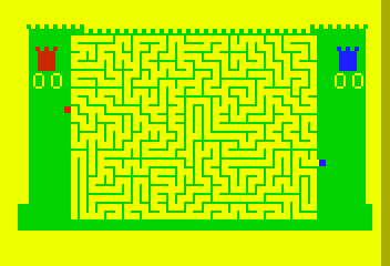 X-RAY MAZE - The Maze